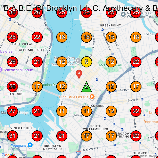B.A.B.E. Of Brooklyn L.L.C. Apothecary & Barbershop GeoGrid visibility map for Barber Shop in Brooklyn